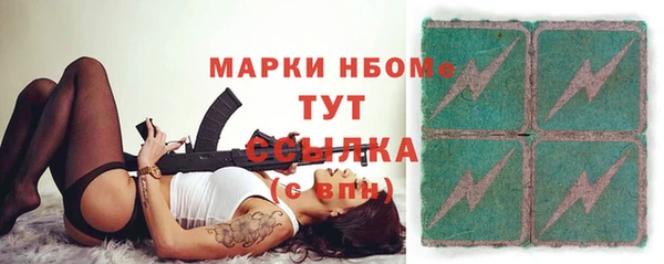 шишки Горно-Алтайск