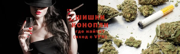 шишки Горно-Алтайск