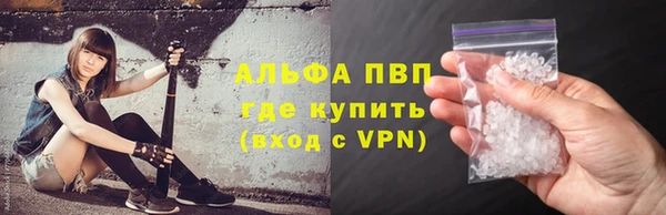 шишки Горно-Алтайск