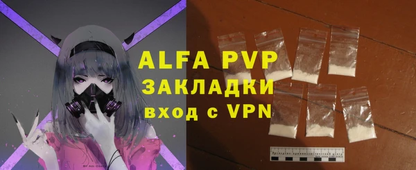 шишки Горно-Алтайск