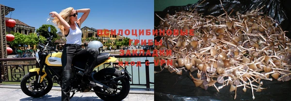 мдма Горнозаводск
