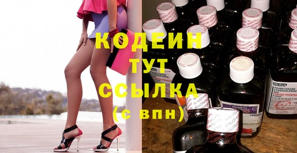 шишки Горно-Алтайск
