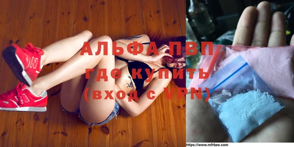 шишки Горно-Алтайск