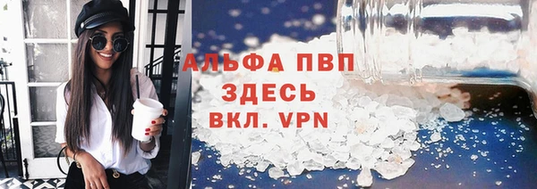 шишки Горно-Алтайск