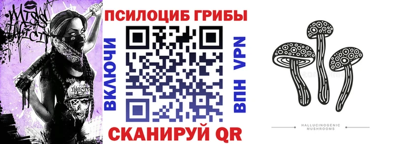 Галлюциногенные грибы мицелий  kraken ссылки  Мичуринск 